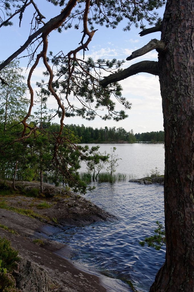 Baum rechts