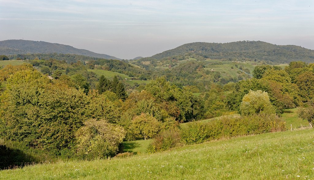 Zum Odenwald