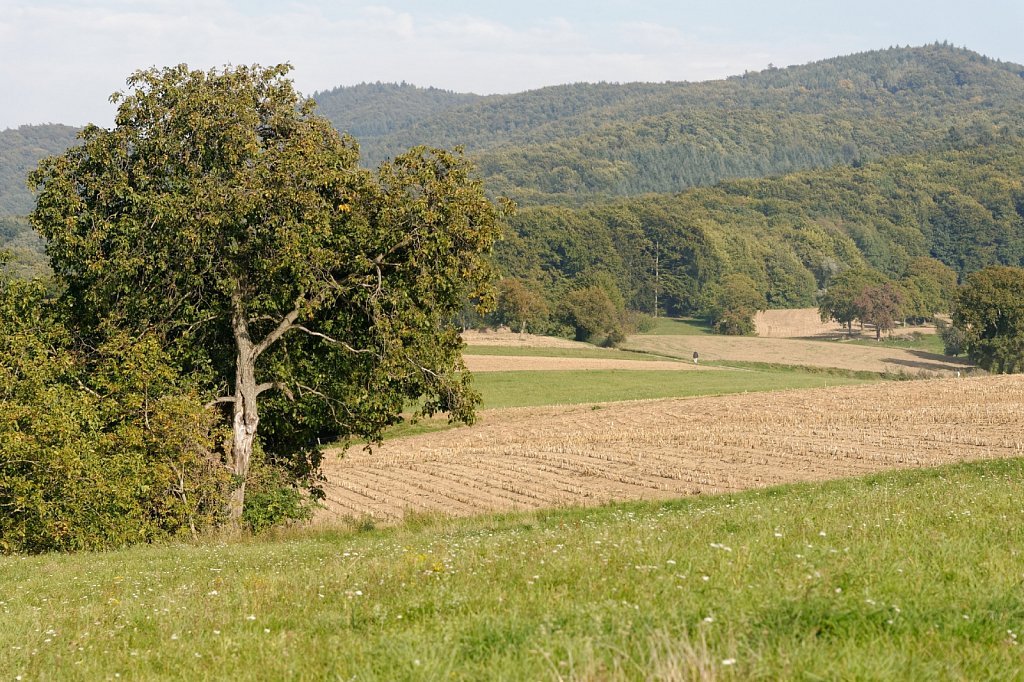 Mehr Odenwald