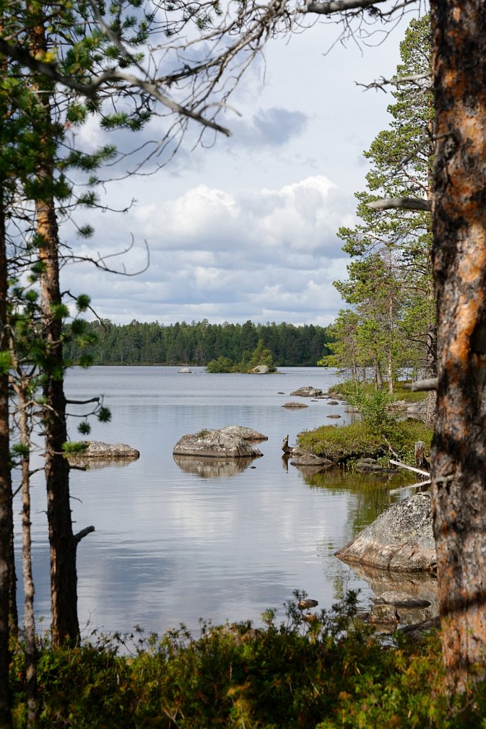 Baum und Wasser und Spiegelung