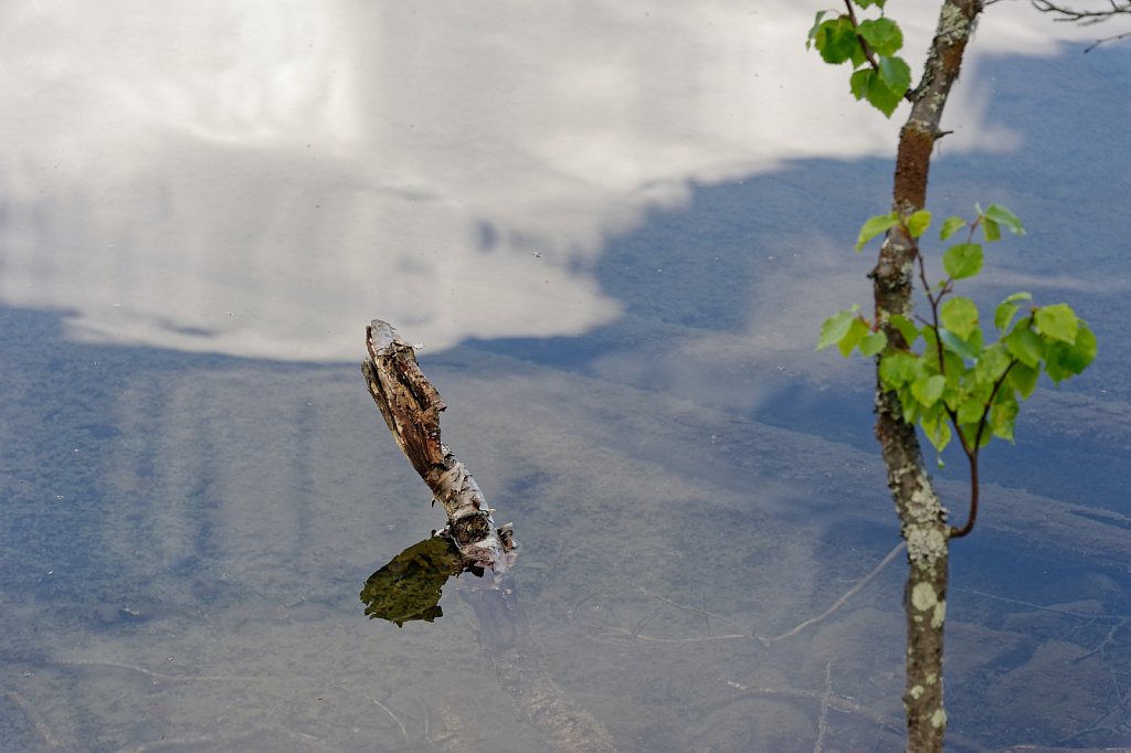 Aus dem Wasser