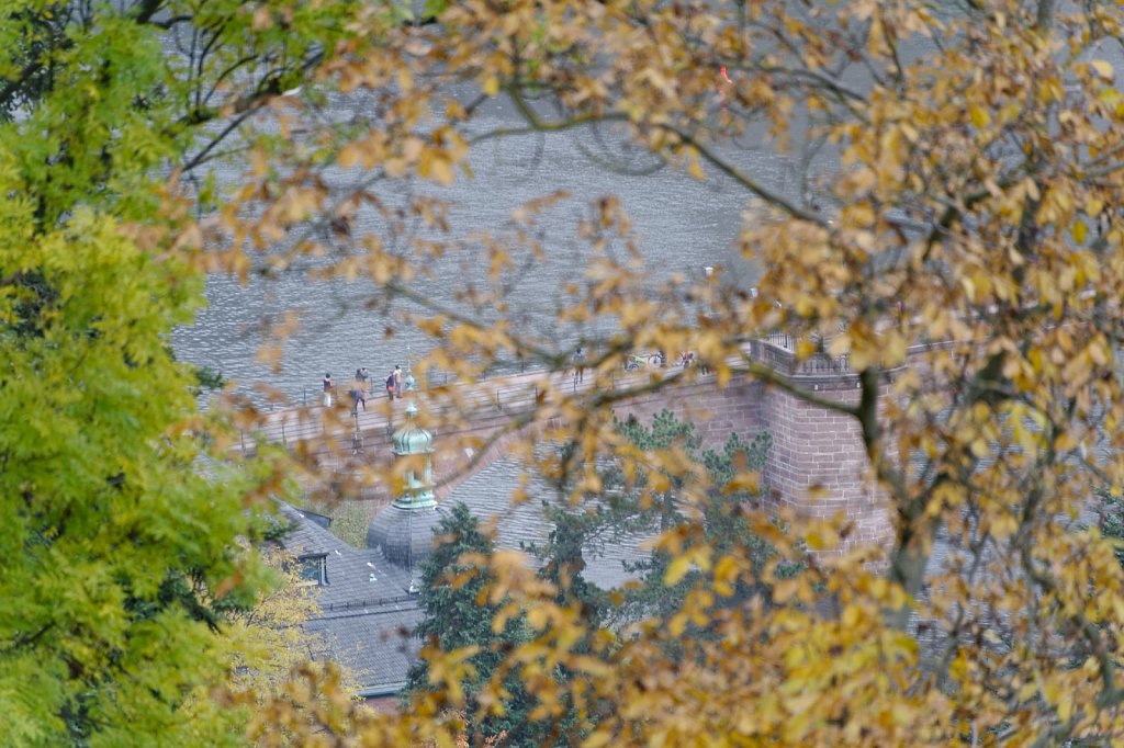 Brücke vom Philosophenweg