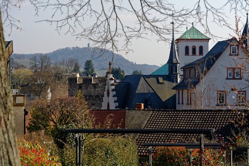 Über die Altstadt