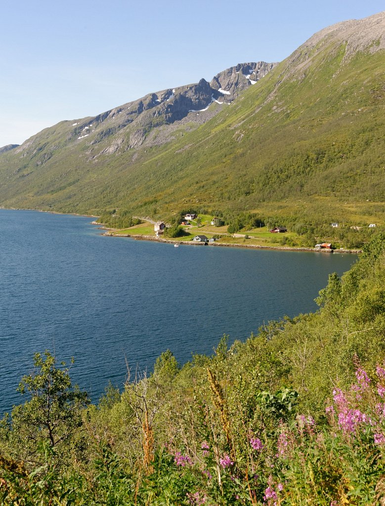 Landschaft mit Blüten