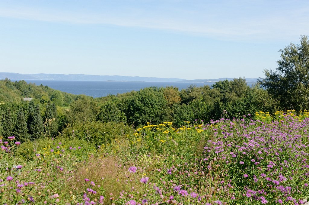 Ausblick